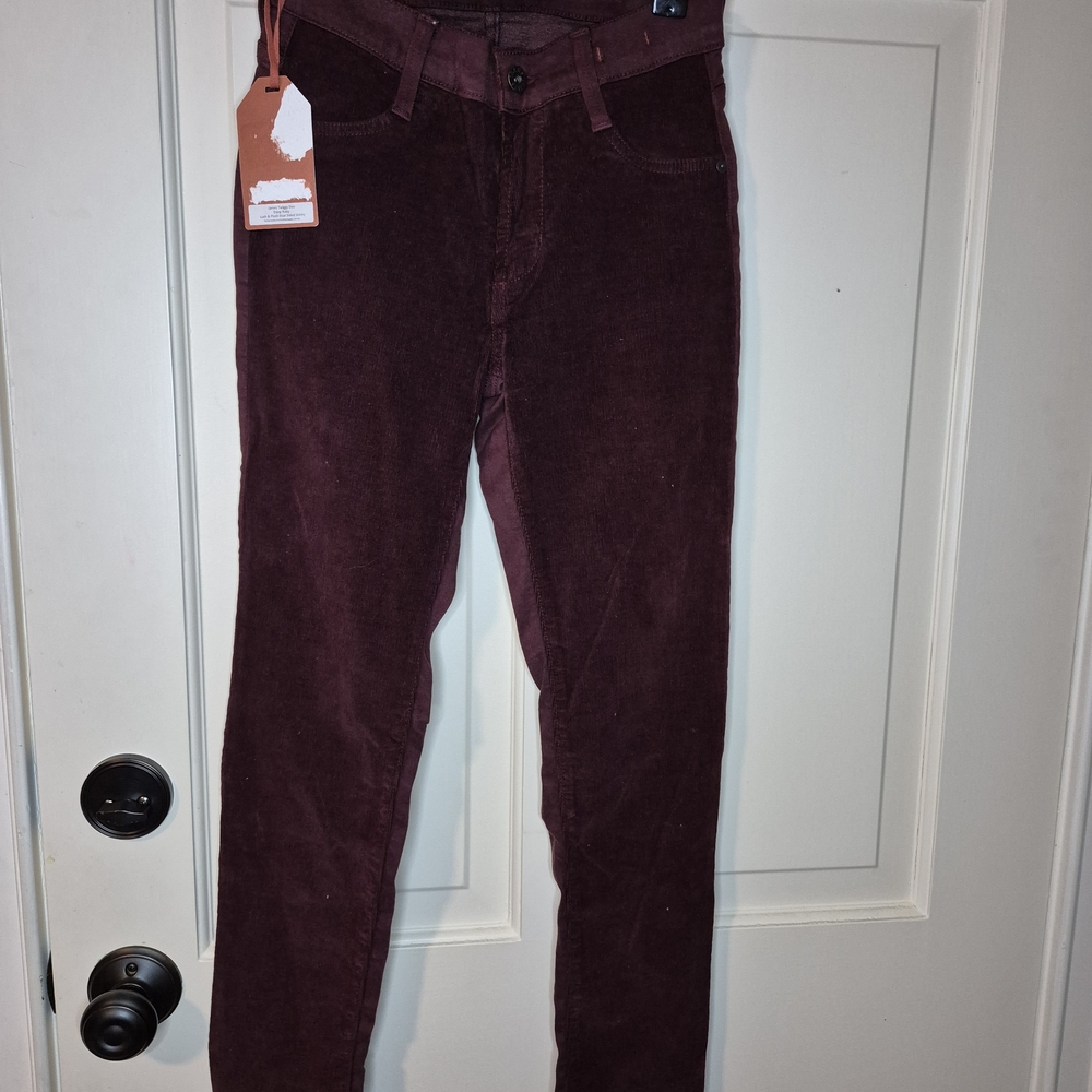 James Jeans Women's Skinny Pants in Deep Burgundy